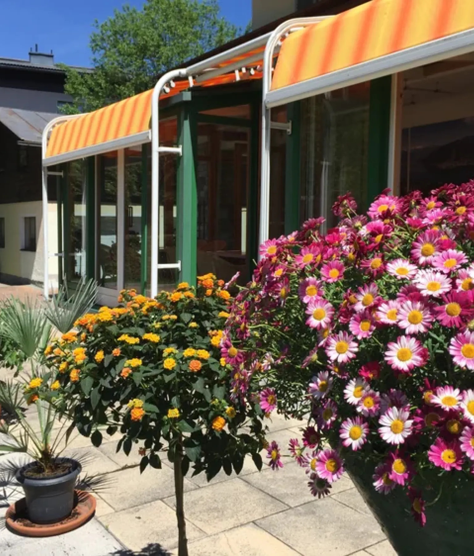 Terasse Pension Lindenthaler in Zell am See