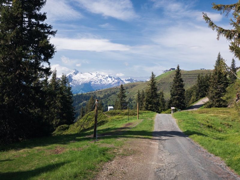 Wanderwege in Zell am See